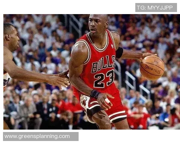 公牛引进新秀，能否带领球队重振旗鼓？