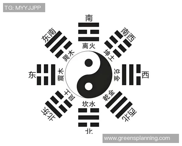 探索什么太极的深层哲学与实践智慧，揭示其在现代生活中的应用与价值